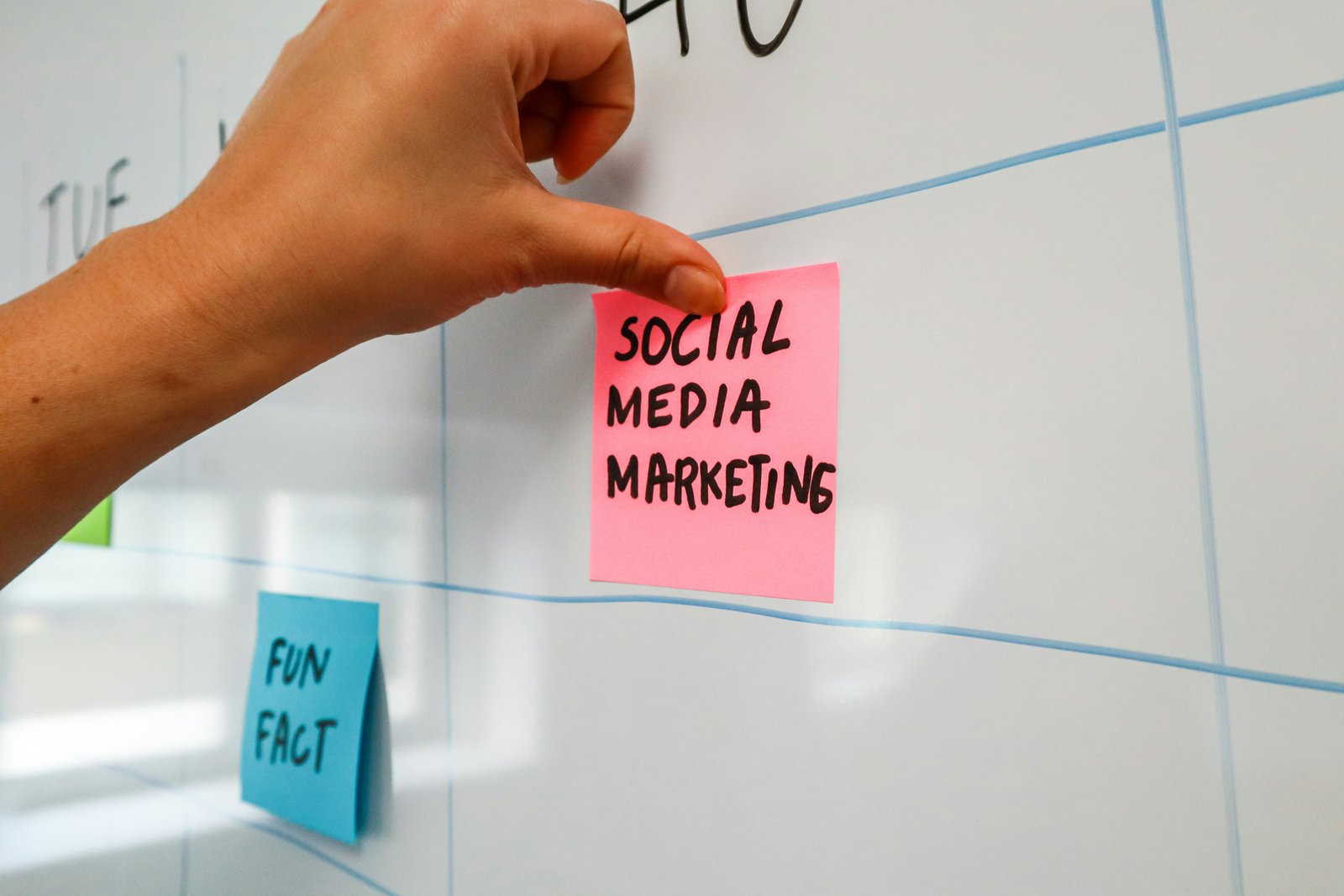 Conseil communication &amp; marketing